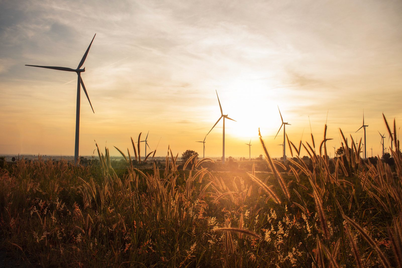 Uusiutuva energia on nyt ajankohtaisempaa kuin koskaan.